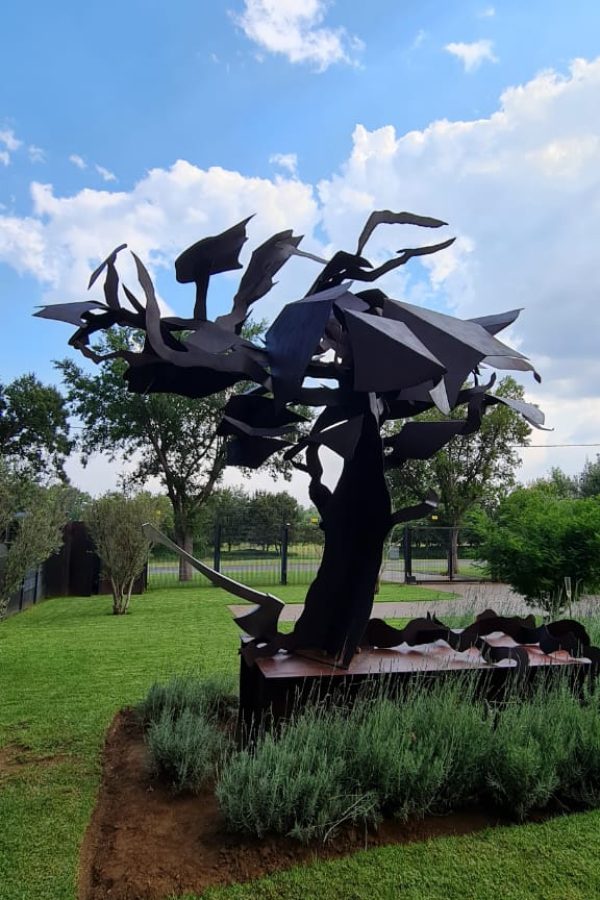 WhatsApp Image 2022-03-13 at 11.59.45 AM